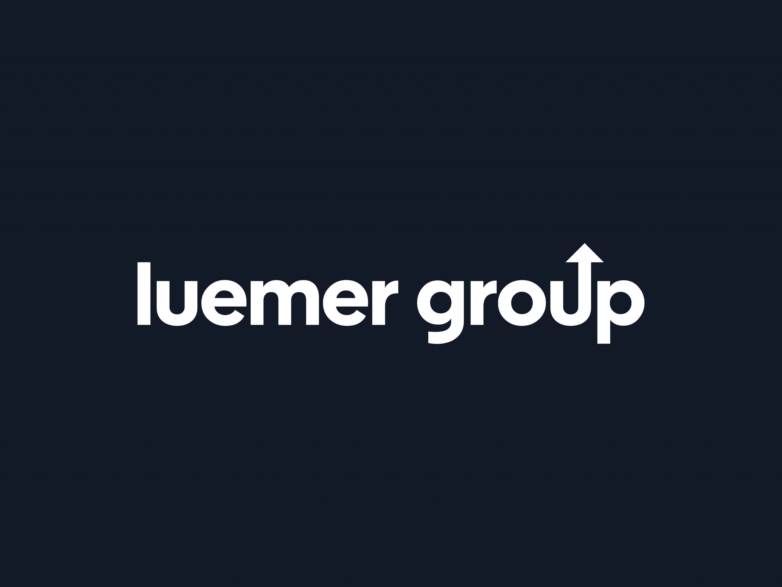 luemer_group_logo